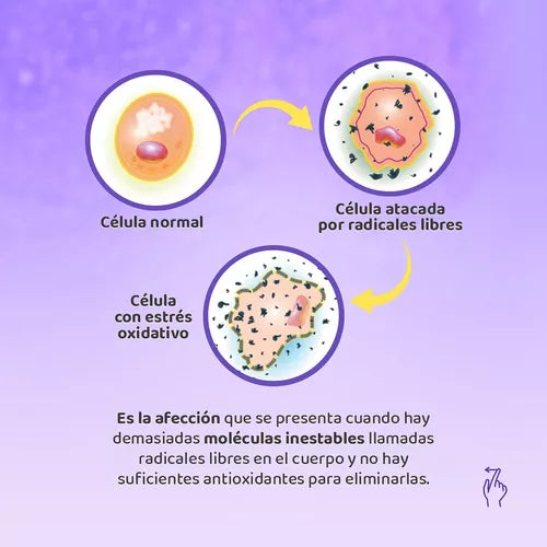 NAD+Resveratrol + COENZIMA Q10